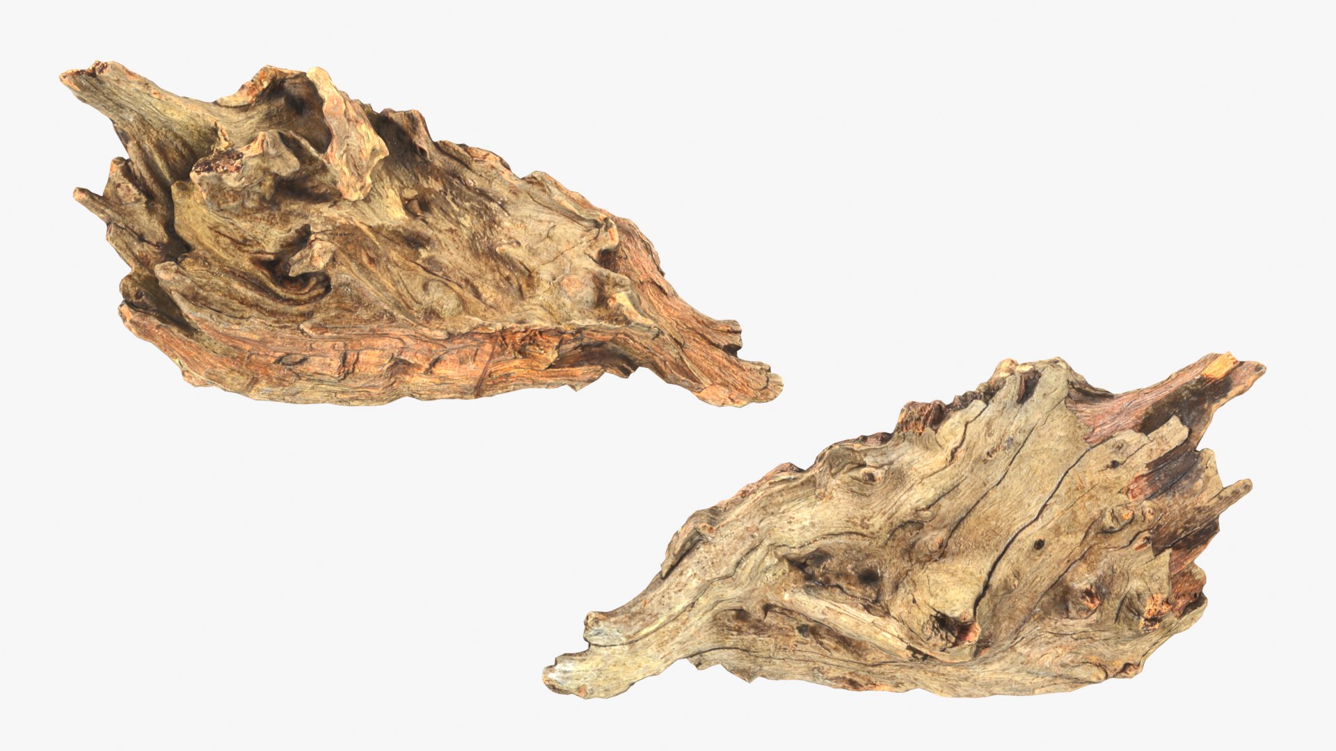 Tree Trunk Piece 10 3D model https://p.turbosquid.com/ts-thumb/MF/t4wRIe/HK/treetrunkpc10_0001b/png/1765542764/1920x1080/fit_q87/fa44316d3693a34dcabe0200c16749dfc835aef6/treetrunkpc10_0001b.jpg