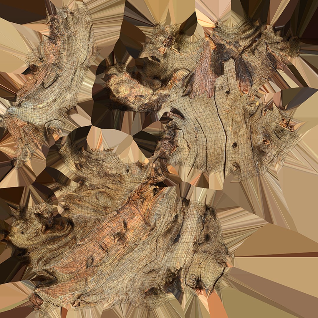 Tree Trunk Piece 10 3D model https://p.turbosquid.com/ts-thumb/MF/t4wRIe/Se/treetrunkpc10_c0004/png/1765542783/1920x1080/fit_q87/4b967258cf306f4883f706fa531b199b6122615a/treetrunkpc10_c0004.jpg