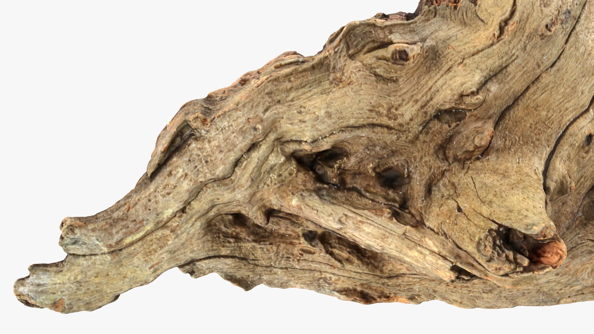 Tree Trunk Piece 10 3D model https://p.turbosquid.com/ts-thumb/MF/t4wRIe/dF/treetrunkpc10_0012/png/1765542790/1920x1080/fit_q87/9de7974e91cba0b1551db9c10782285246a719f7/treetrunkpc10_0012.jpg