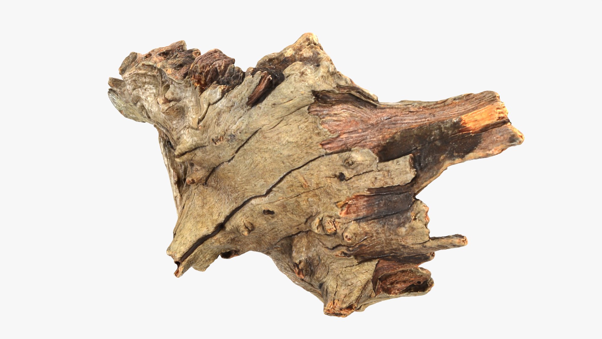 Tree Trunk Piece 10 3D model https://p.turbosquid.com/ts-thumb/MF/t4wRIe/gj/treetrunkpc10_0002/png/1765542769/1920x1080/fit_q87/108dd5fcdc8f07deddac663b99e4ebe84d8ea2cd/treetrunkpc10_0002.jpg