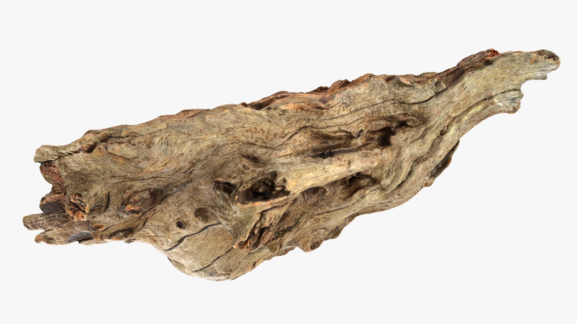 Tree Trunk Piece 10 3D model https://p.turbosquid.com/ts-thumb/MF/t4wRIe/p8/treetrunkpc10_0011/png/1765542784/1920x1080/fit_q87/09f1116a41fbd23b7555a1b263014cc81974f94d/treetrunkpc10_0011.jpg