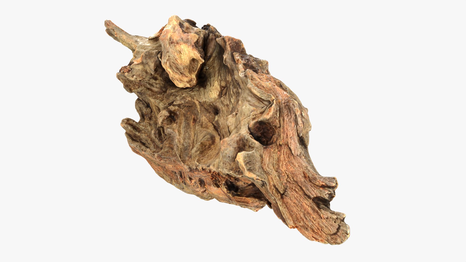 Tree Trunk Piece 10 3D model https://p.turbosquid.com/ts-thumb/MF/t4wRIe/yd/treetrunkpc10_0005/png/1765542772/1920x1080/fit_q87/7dc31f17801c91406fde4046338cc9654904be13/treetrunkpc10_0005.jpg