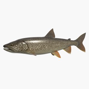 3ds lake trout