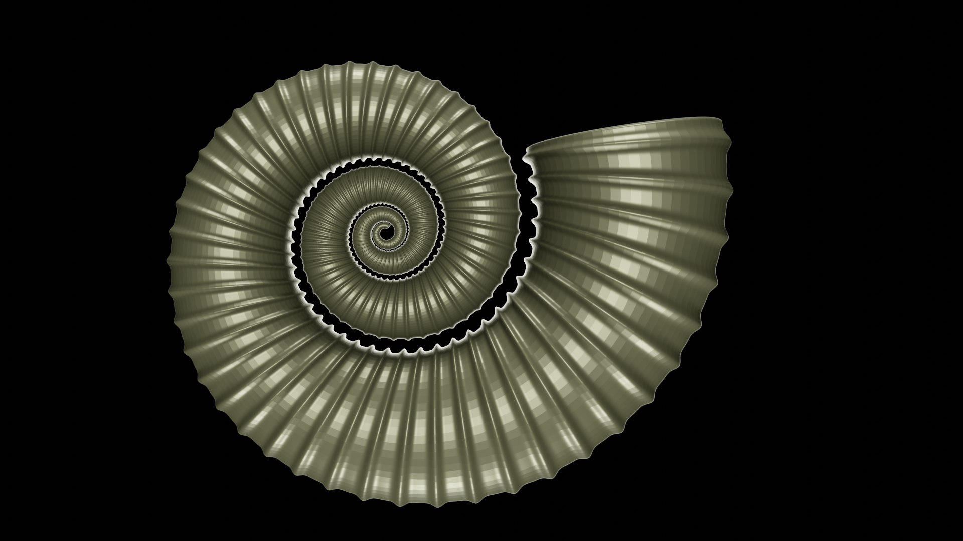 Crioceratites  sp. Ammonoid Heteromorph 3D model https://p.turbosquid.com/ts-thumb/MG/3Bs4IC/5W/z0003/png/1704562555/1920x1080/fit_q87/4d062cd03552a9aef3cede4694bac9c9d74d3f6f/z0003.jpg