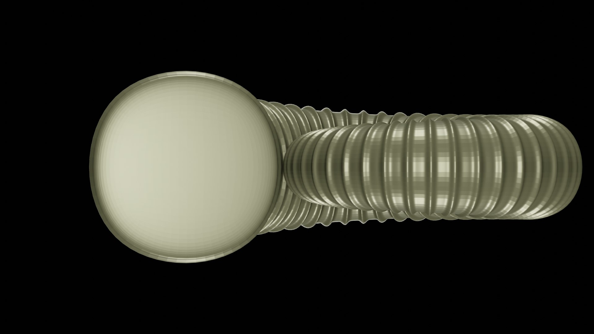 Crioceratites  sp. Ammonoid Heteromorph 3D model https://p.turbosquid.com/ts-thumb/MG/3Bs4IC/Ei/z0002/png/1704562555/1920x1080/fit_q87/69dd65f951dcab415033f31db5fb8dee94eb7333/z0002.jpg