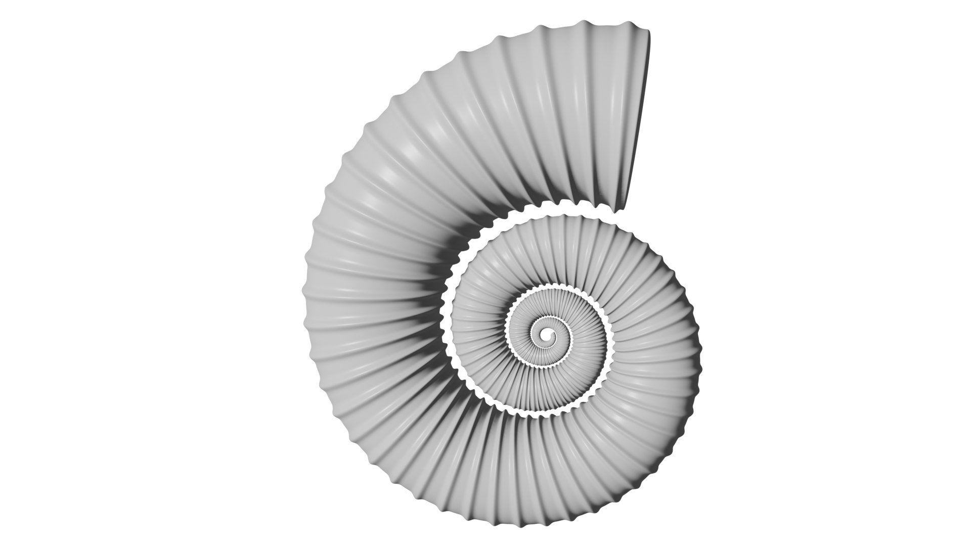 Crioceratites  sp. Ammonoid Heteromorph 3D model https://p.turbosquid.com/ts-thumb/MG/3Bs4IC/fV/1/png/1619305330/1920x1080/fit_q87/8a87d279243b42d9a43e426c85315dc7eeccf3aa/1.jpg
