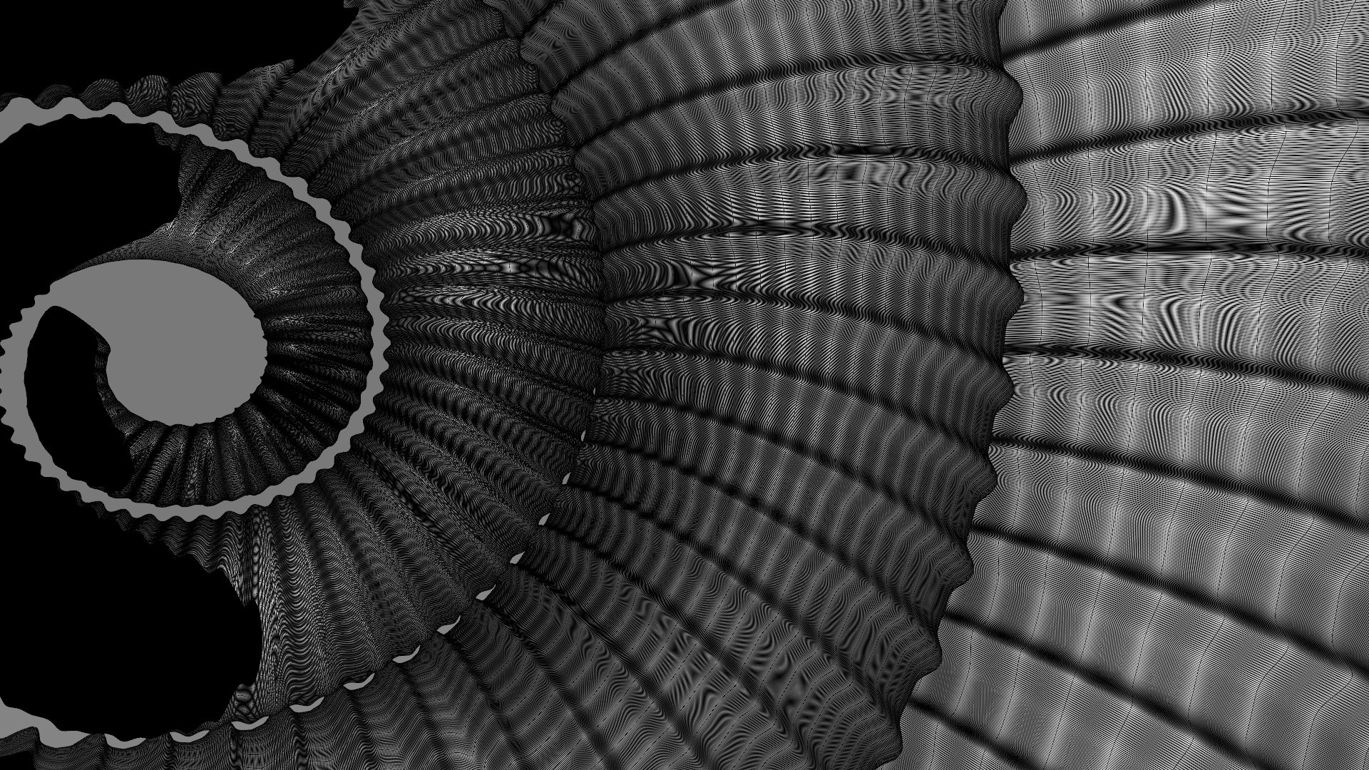 Crioceratites  sp. Ammonoid Heteromorph 3D model https://p.turbosquid.com/ts-thumb/MG/3Bs4IC/yA/wire_4/jpg/1704562558/1920x1080/fit_q87/522f3db455fadfc33440580ec33d9e350189c148/wire_4.jpg