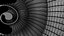 Crioceratites Ammonoid Shell
