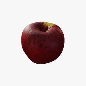 3D Anydrafts Apple 12 model