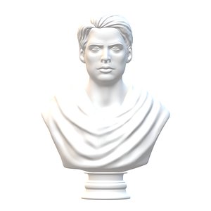 3D Male bust