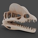 Dilophosaurus Skull