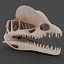 Dino Skull Collection