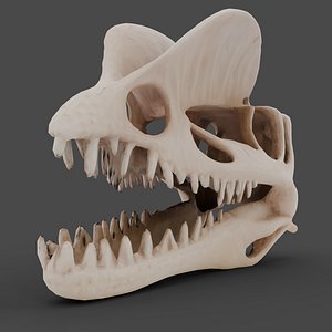 3D Dilophosaurus Skull model