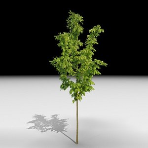 3d tree j3d model