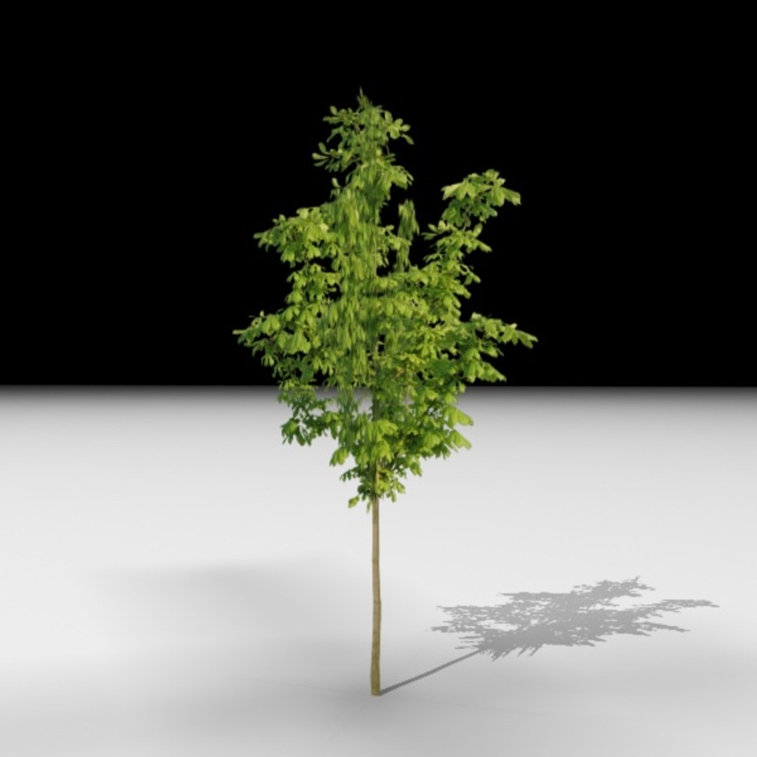 3d Tree J3d Model