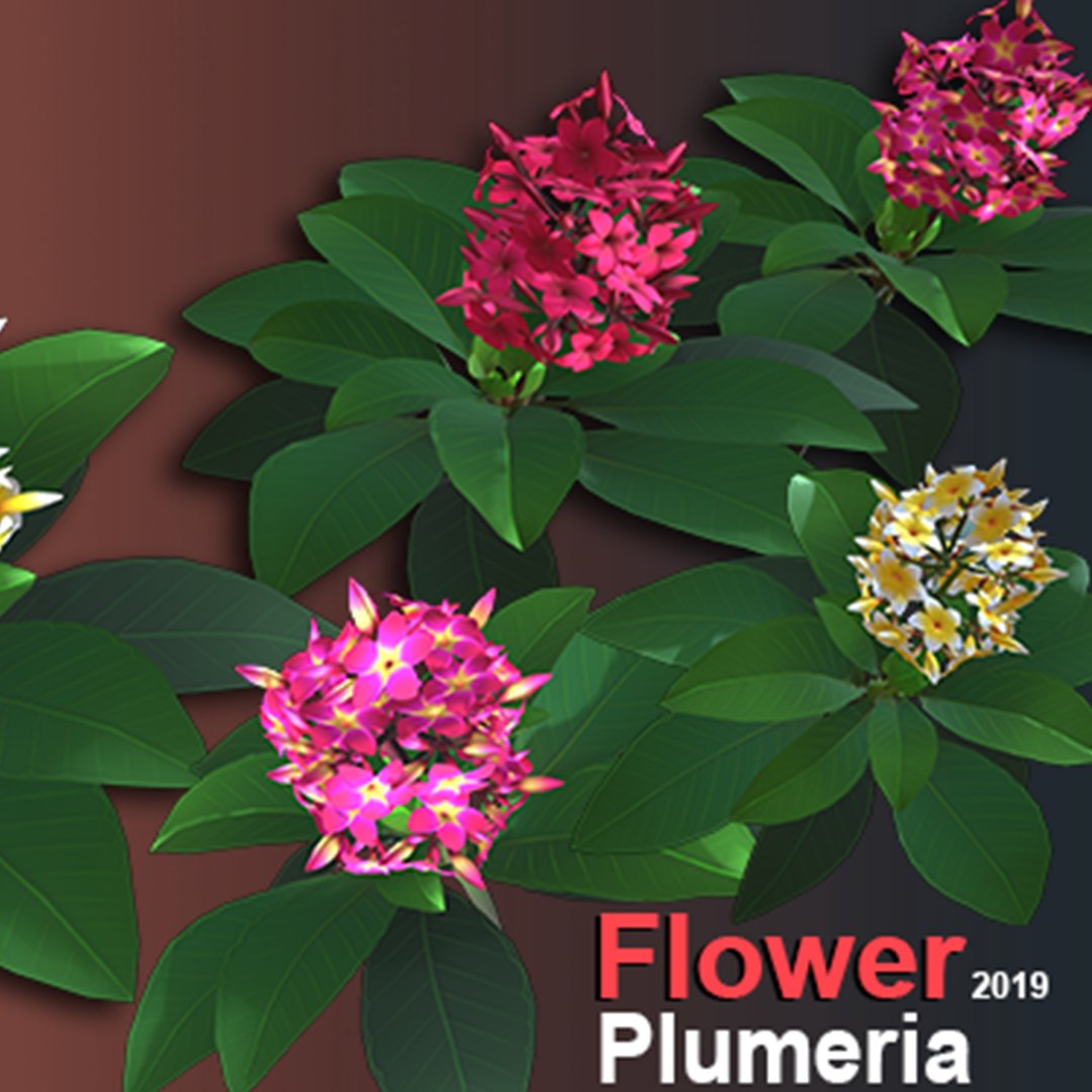 Flower Plumeria model https://p.turbosquid.com/ts-thumb/MG/BzsQ6T/8z/plumeria1200/png/1696218519/1920x1080/fit_q87/2cd7e1899ba4df312715ecb820c91c0424606055/plumeria1200.jpg