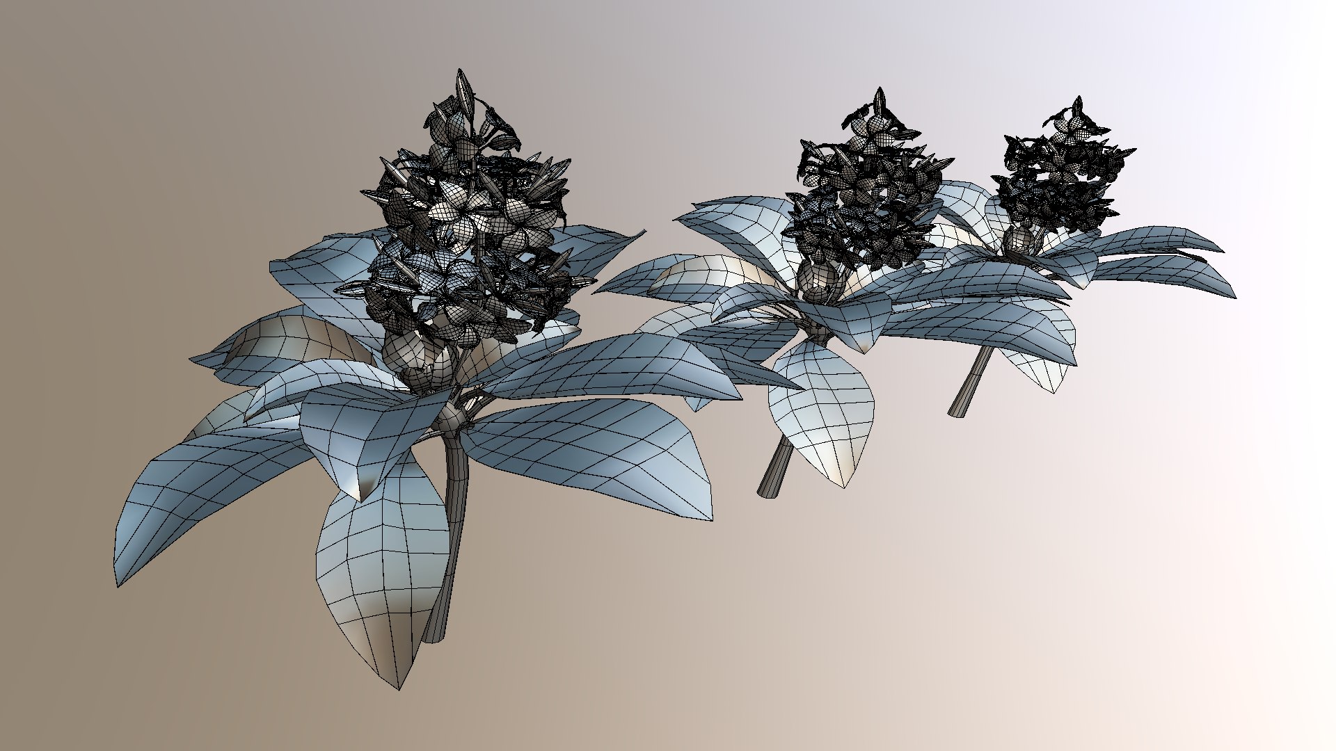 Flower Plumeria model https://p.turbosquid.com/ts-thumb/MG/BzsQ6T/TE/plumeria6/png/1696218443/1920x1080/fit_q87/9c010d5078c7a0a8fdd55f93b0b65a51b30a473c/plumeria6.jpg