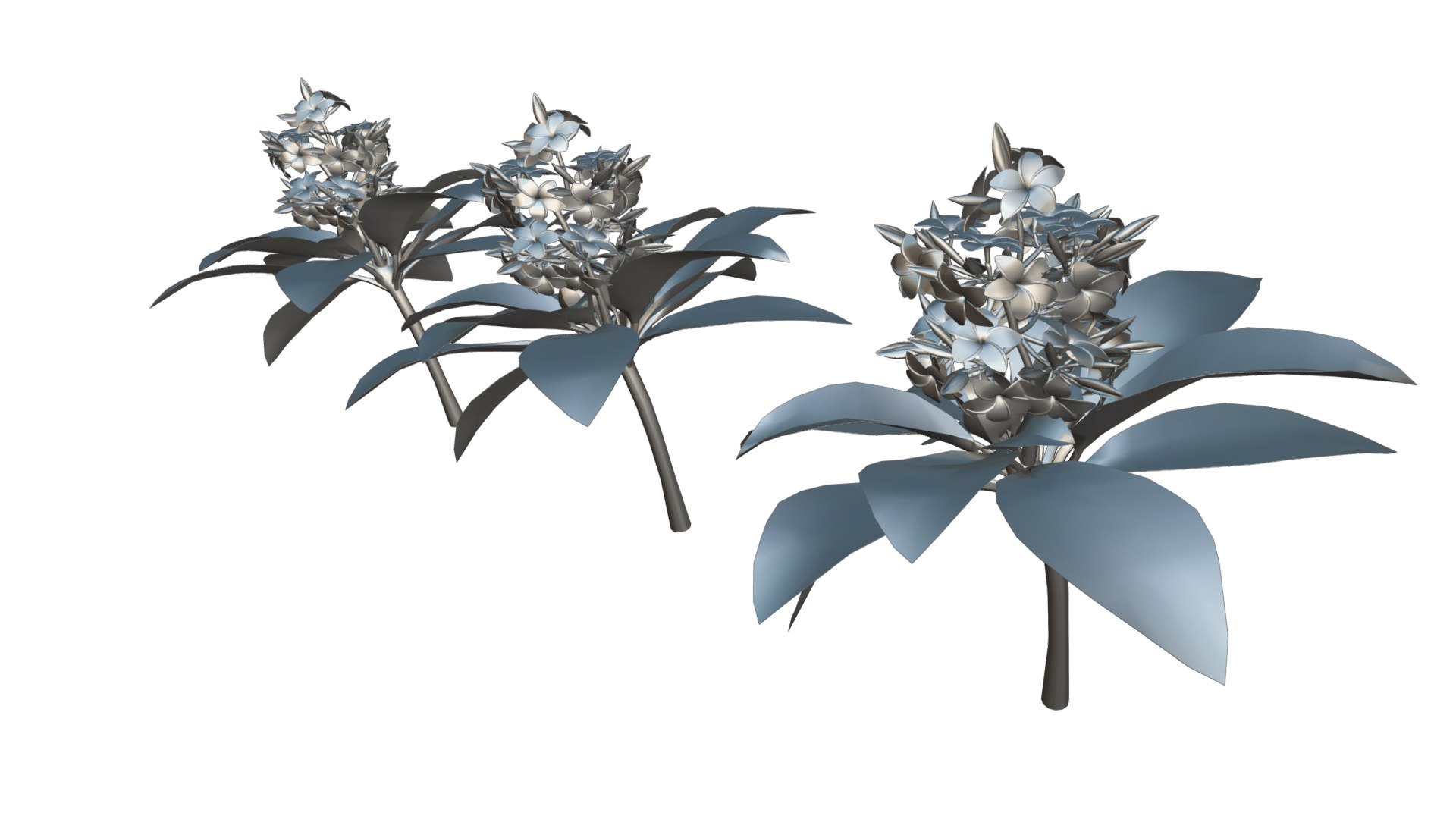 Flower Plumeria model https://p.turbosquid.com/ts-thumb/MG/BzsQ6T/jv/plumeria4/png/1696218440/1920x1080/fit_q87/30a75f3ba7f19b73b9fa4b942ea4ed15bdbc17c7/plumeria4.jpg