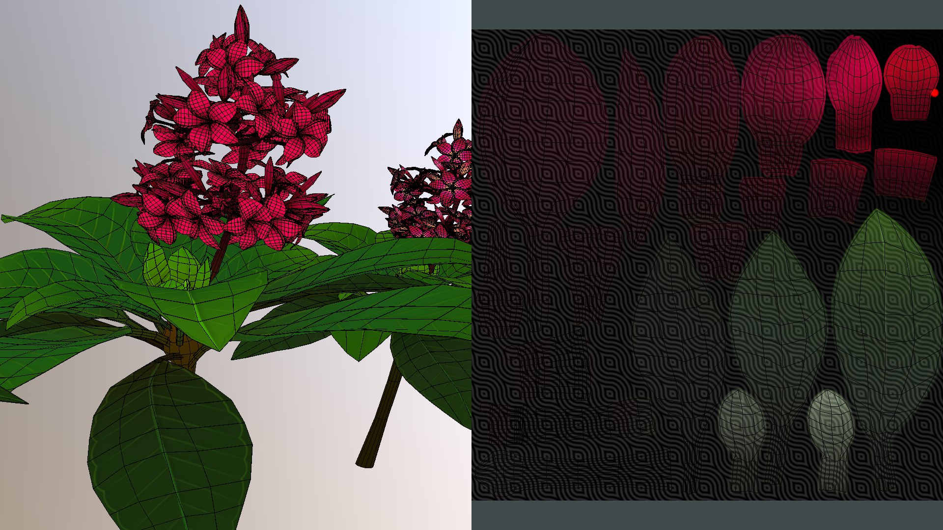 Flower Plumeria model https://p.turbosquid.com/ts-thumb/MG/BzsQ6T/wn/plumeria6/png/1696218443/1920x1080/fit_q87/2a60361768e77acfbea57dd3abe3cc75a0a499e8/plumeria6.jpg