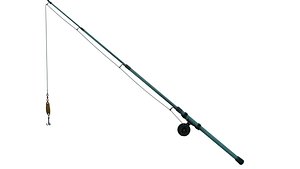 Fishing Rod