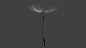 dandelion leaf 3d obj