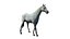 horse animation mocaps 3D model