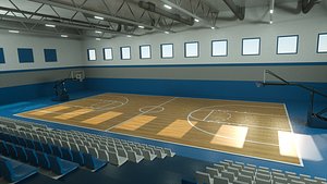3D basketball court
