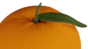 Orange fruit 3D