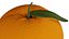 fruta laranja
