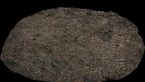 forest ground burned field photogrammetry 3D model