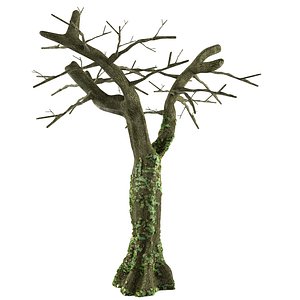 3D tree