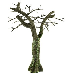 tree_cod_001