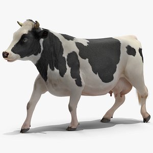 cow walking animal rigged 3D model