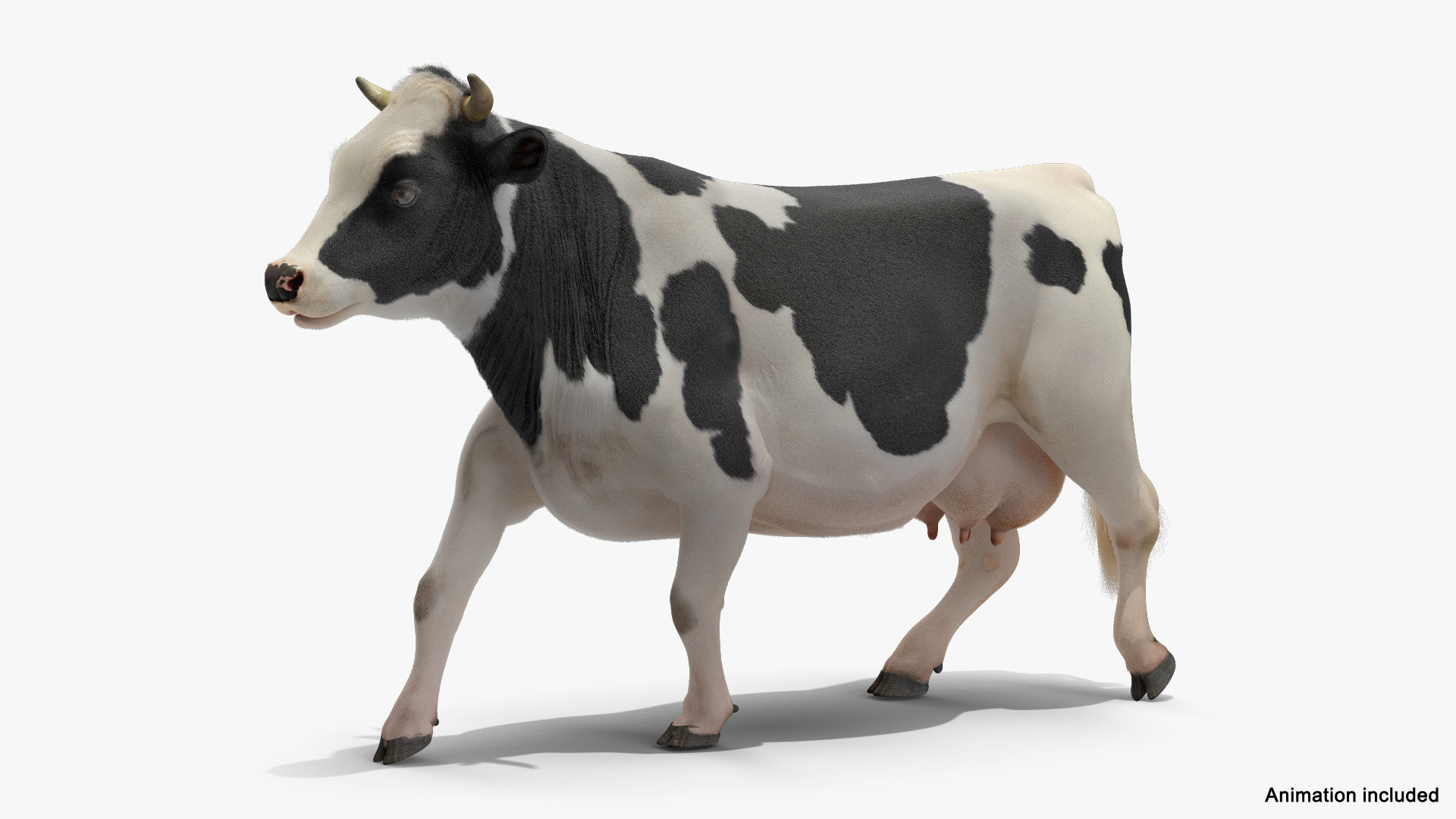 Cow Walking Animal Rigged 3D Model - TurboSquid 1564284