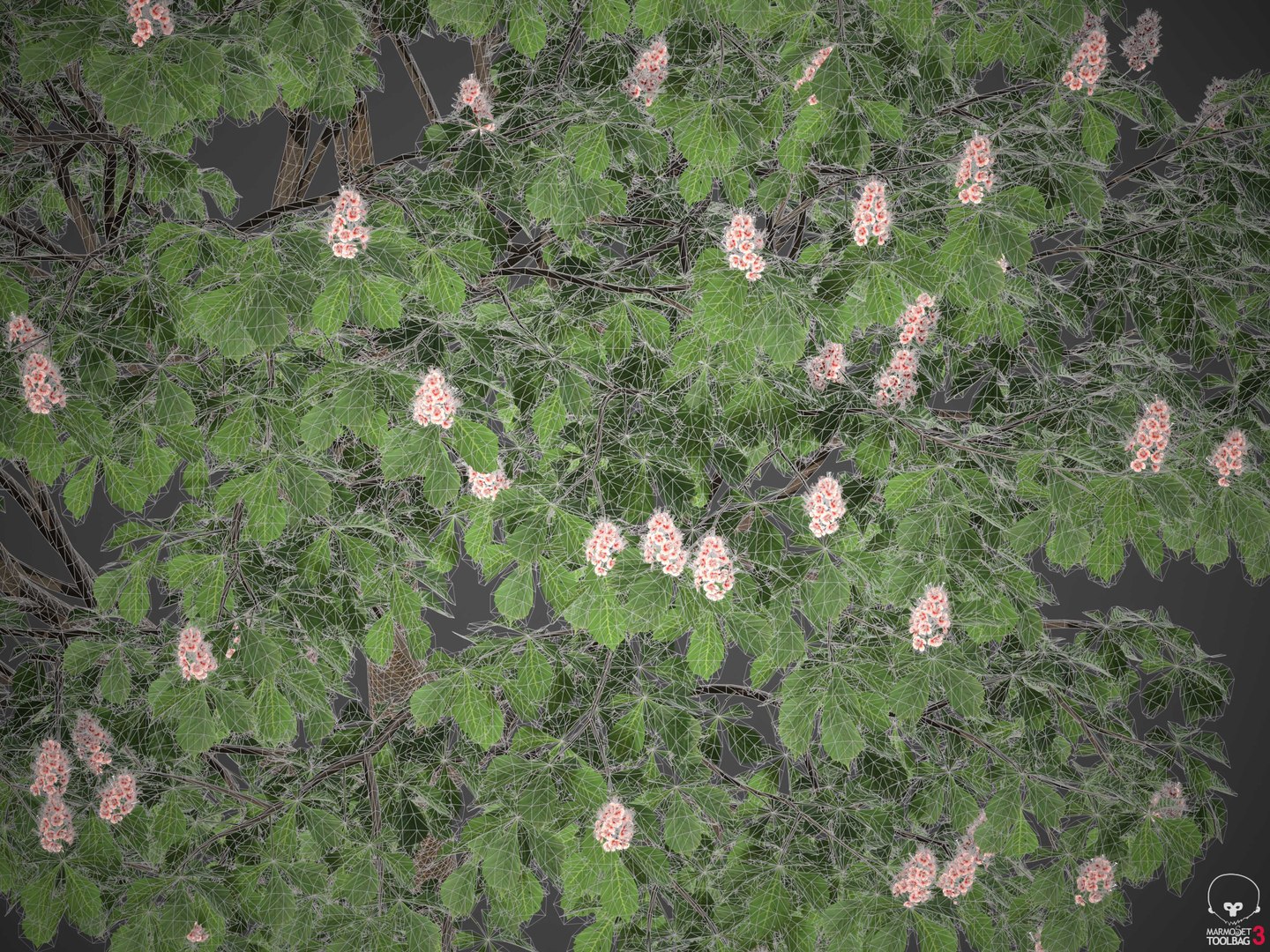 3D XfrogPlants Horse Chestnut - Aesculus Hippocastanum model https://p.turbosquid.com/ts-thumb/MG/cvU5d8/R6/wireframe1/jpg/1618425750/1920x1080/fit_q87/933a3863a8185cccb4d89f57e3a007729fe722af/wireframe1.jpg