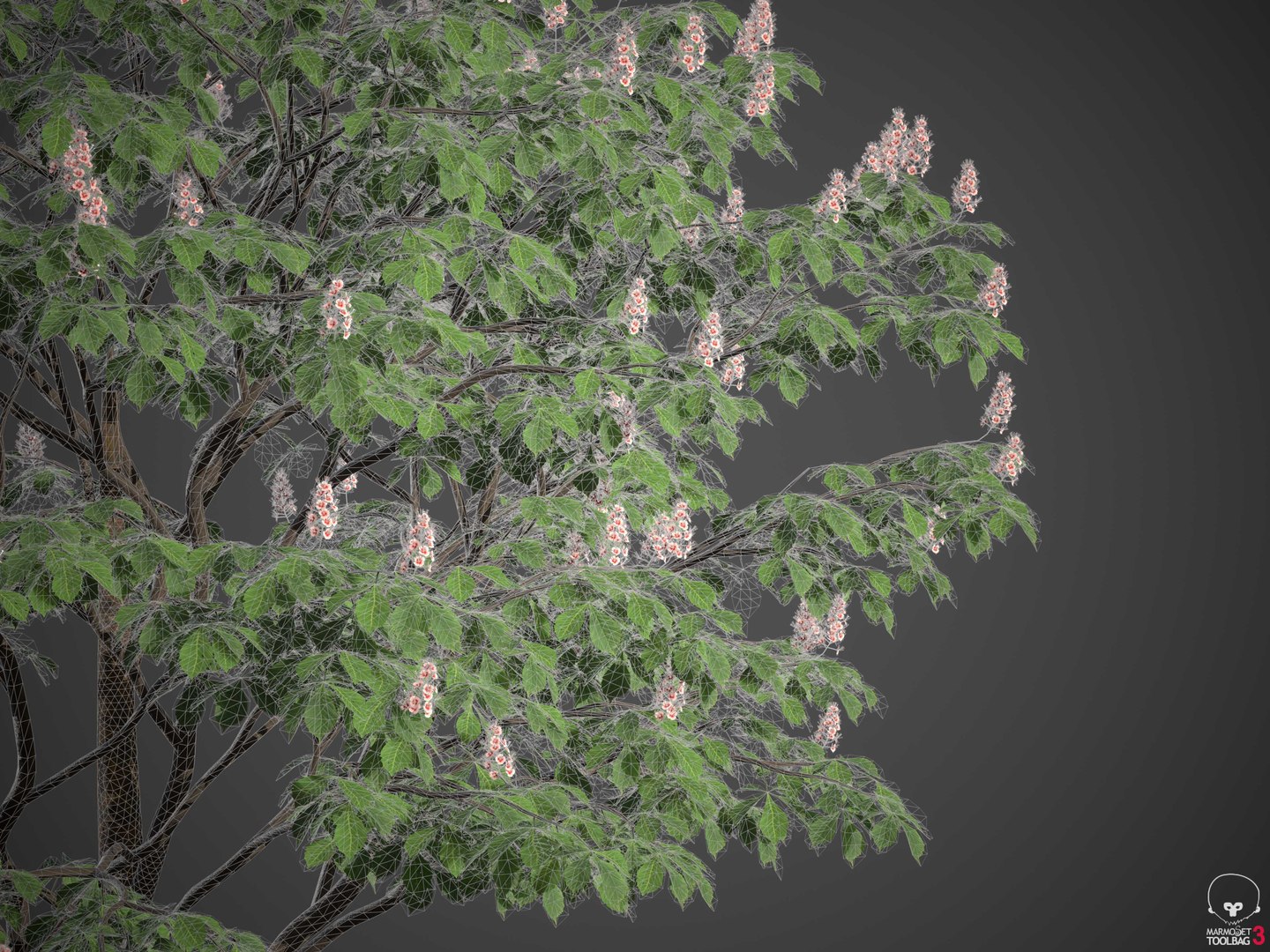 3D XfrogPlants Horse Chestnut - Aesculus Hippocastanum model https://p.turbosquid.com/ts-thumb/MG/cvU5d8/Uw/wireframe2/jpg/1618425751/1920x1080/fit_q87/f270a067a821467314d74a237050834f0f7ba6fe/wireframe2.jpg