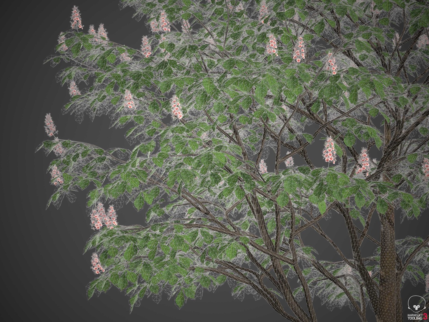3D XfrogPlants Horse Chestnut - Aesculus Hippocastanum model https://p.turbosquid.com/ts-thumb/MG/cvU5d8/bx/wireframe3/jpg/1618425747/1920x1080/fit_q87/efccc7d0eeccd6ed1d30c4afe9061672991faf78/wireframe3.jpg