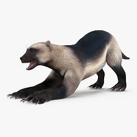 Wolverine Prepares Attack Pose