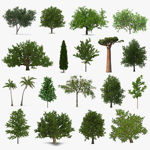 3D summer trees 7