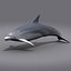 dolphin 3d model