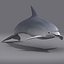 dolphin 3d model
