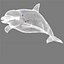 dolphin 3d model