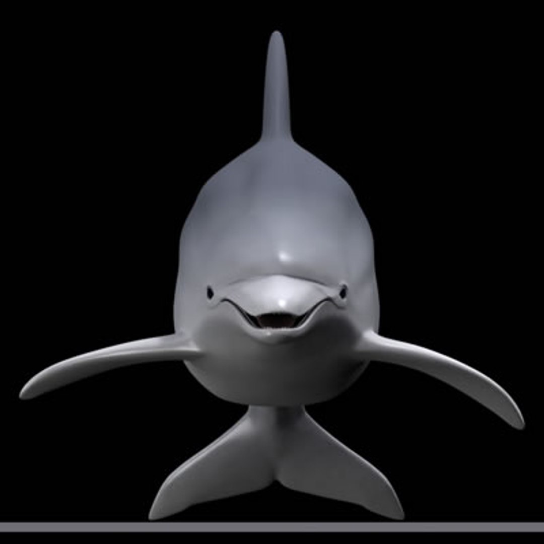 Dolphin 3d Model