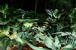 3D Set of plant tropic 6 model