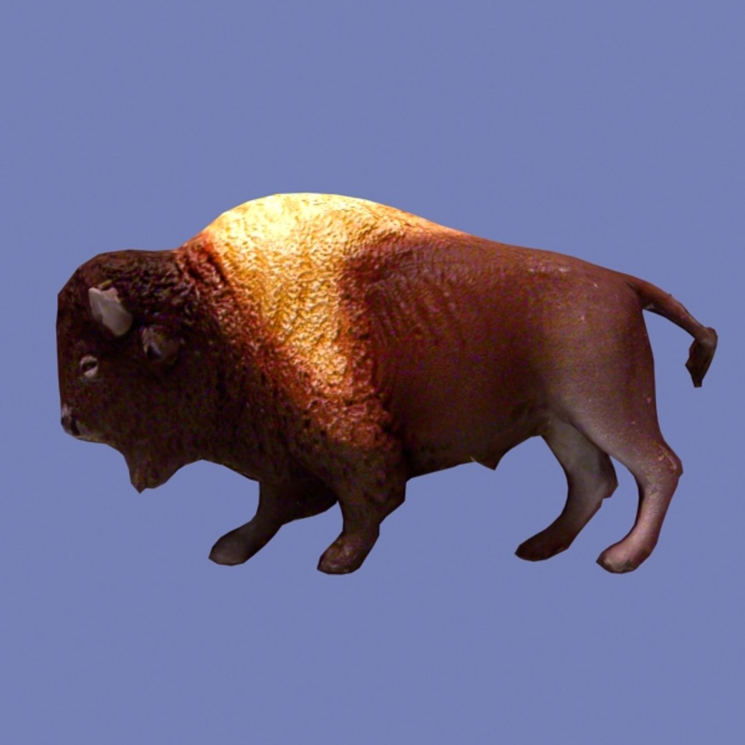 Free Max Model Ready Bison Buffalo