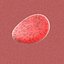 Blood Cell