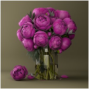 Bouquet of Peonies 3D