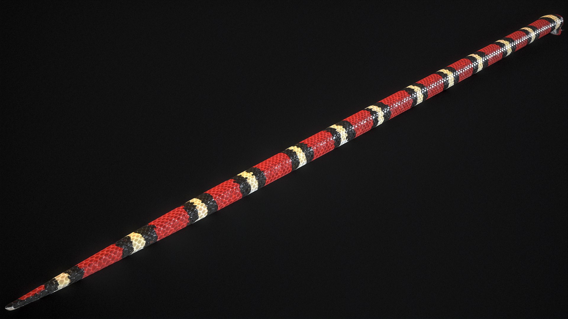 Scarlet Kingsnake PBR 3D model https://p.turbosquid.com/ts-thumb/MH/ZDy5pT/yC/r_viewport_005/png/1688992209/1920x1080/fit_q87/679bceaafa0647a263655212cef6af9570971fd2/r_viewport_005.jpg