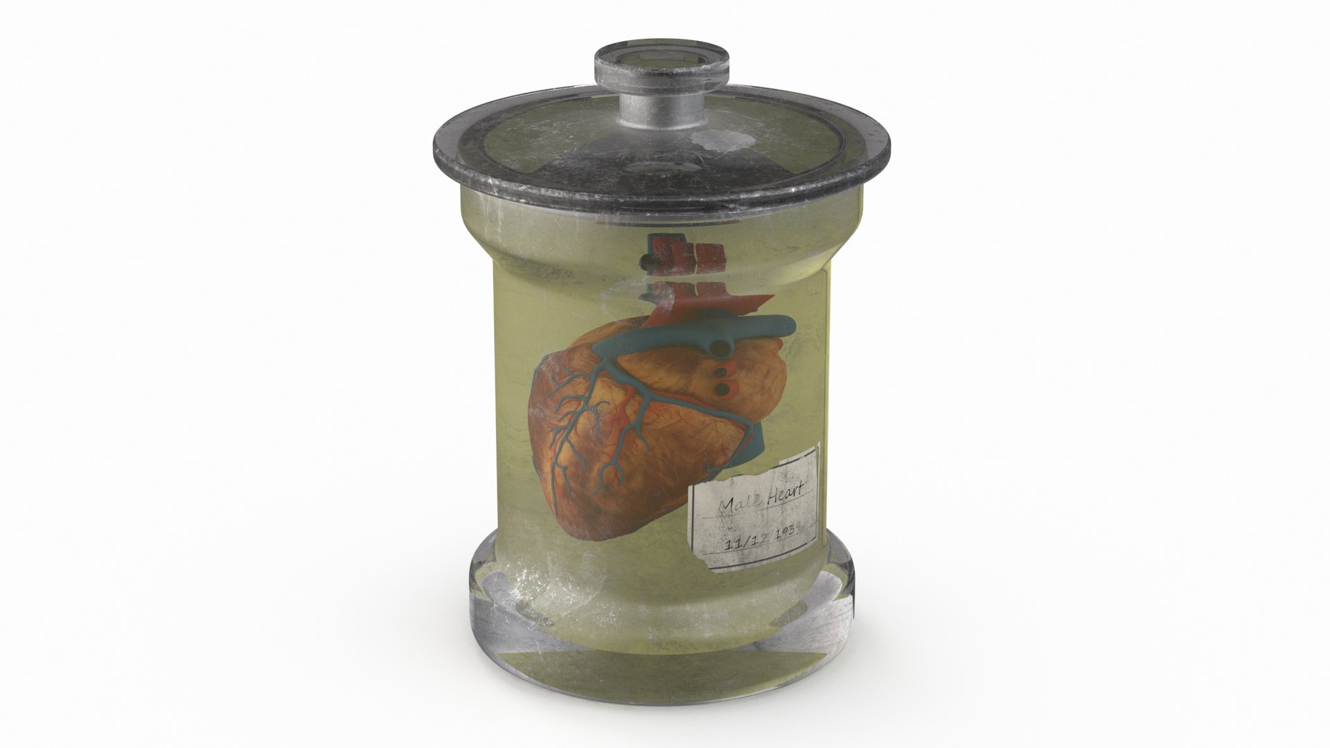 Human Heart in Old Glass Jar 3D model preview