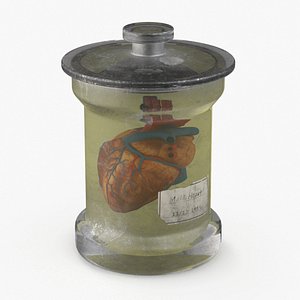 Human Heart in Old Glass Jar